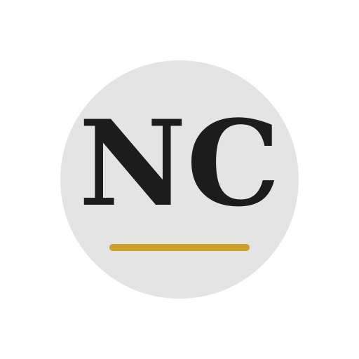 Nero Chimney Services logo